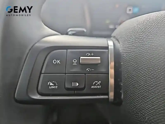 Citroën C4 bluehdi 130 eat8 — photo 14