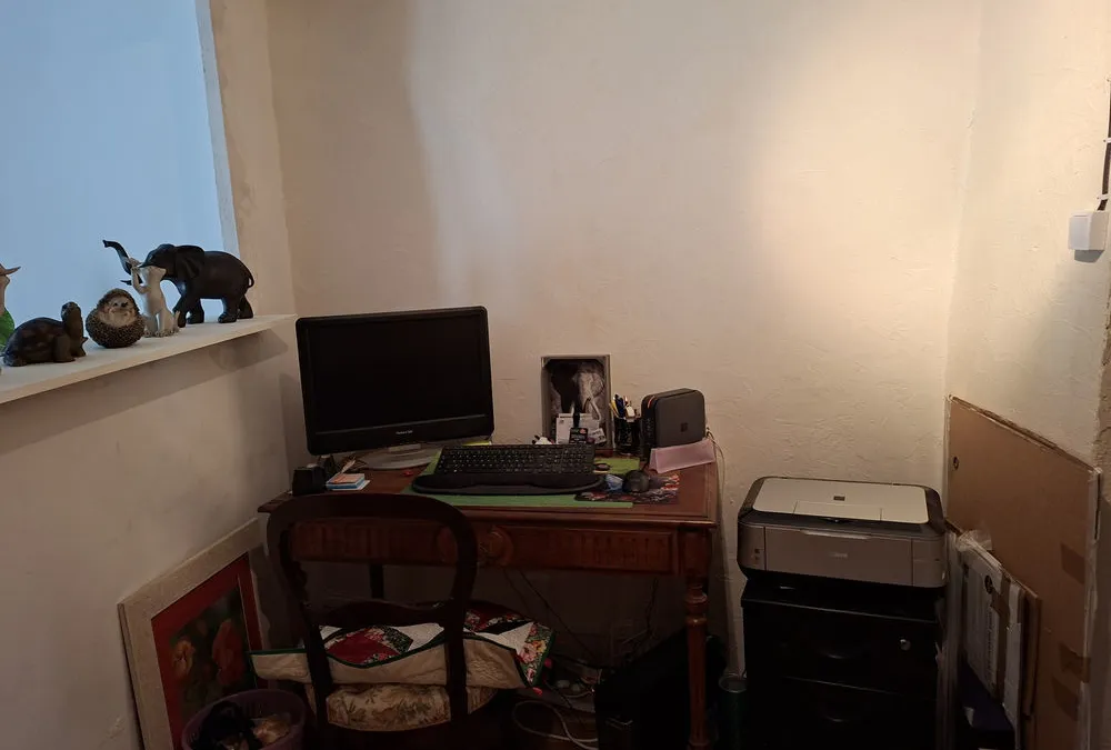 Photo 11