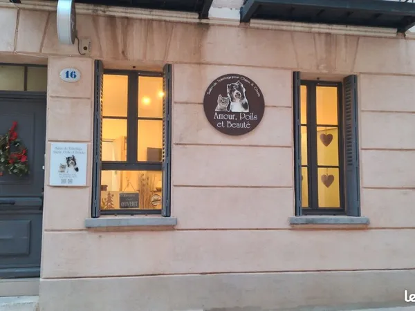 Murs + fonds Salon de toilettage