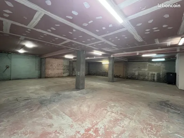 Local d'activité 301 m²