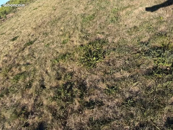 Terrain a la campagne