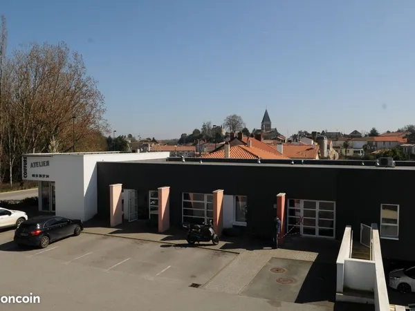 Local professionnel