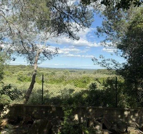 Terrain 731 m²