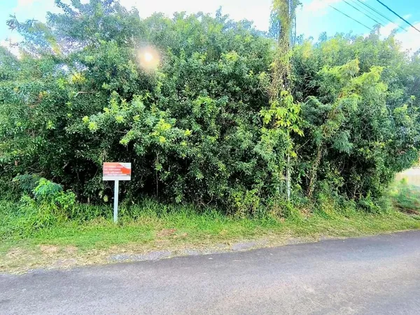 Terrain a vendre Saint Anne