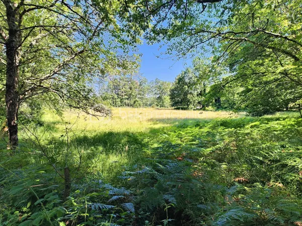 Terrain 3934 m²