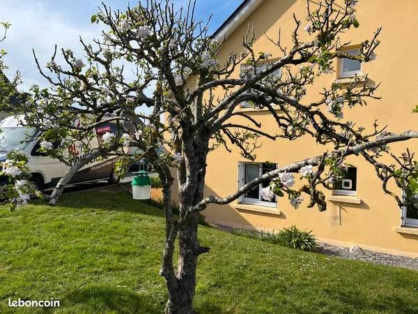 Immeuble 6 pièces 300 m²