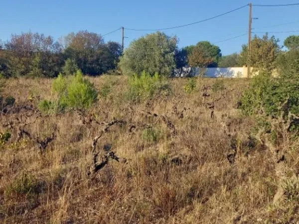 Terrain 200 m²