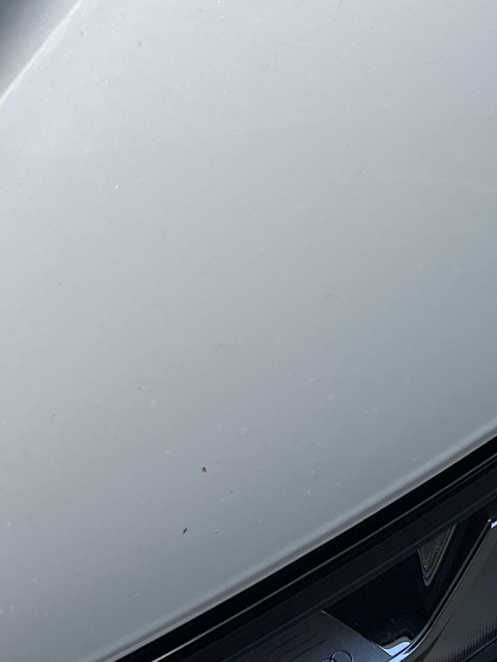 Audi Q5 Sportback — photo 39