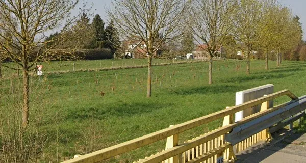 Terrain 600 m²