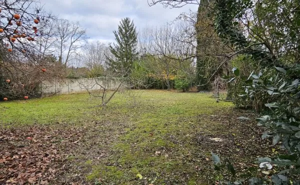 Terrain en individuel 1194 m²