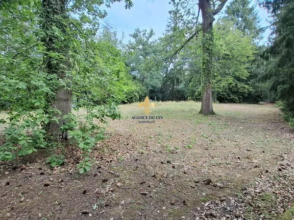 Terrain 6127 m²