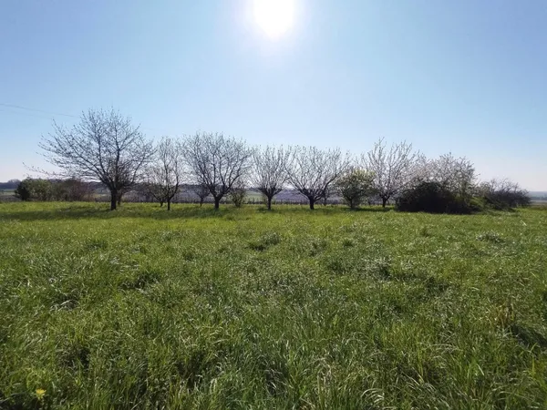 Terrain 5642 m²