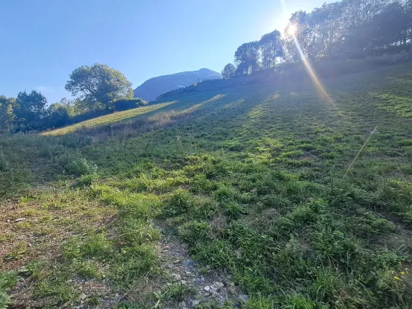 Terrain 7511 m²