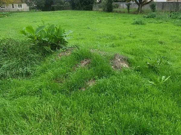 Terrain 628 m² La Tremblade