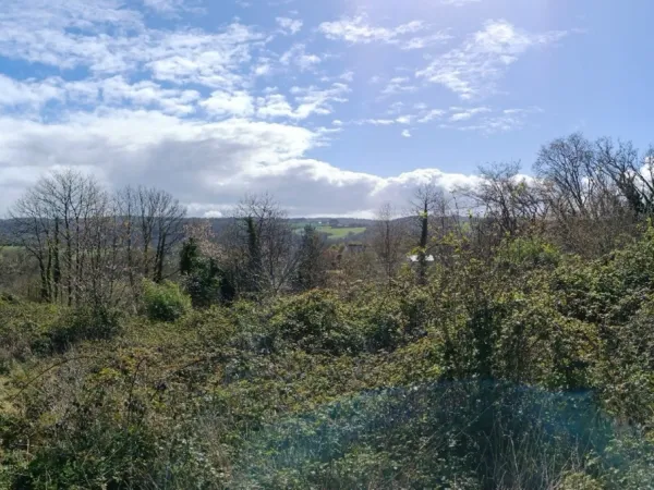 Terrain 7578 m²