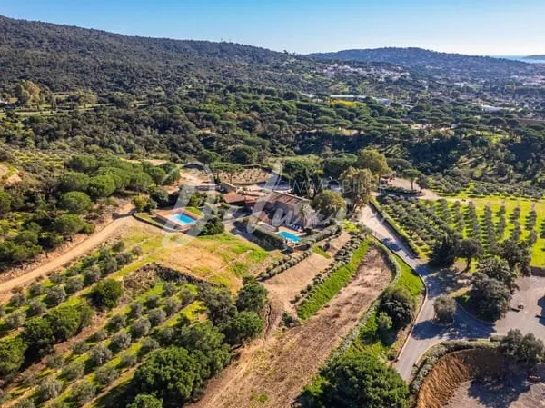 Domaine Provençal avec Exploitation d'Oliviers et Gîtes à Sainte-Maxime