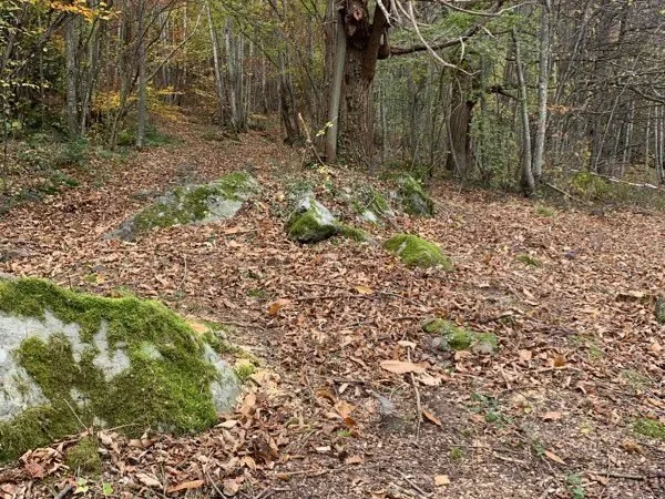 Terrain constructible 872 m2 Chanou/ Retournac