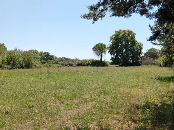 Terrain agricole