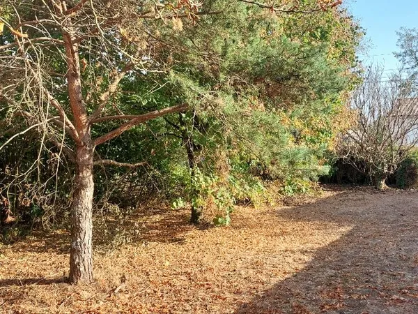 Terrain arboré constructible