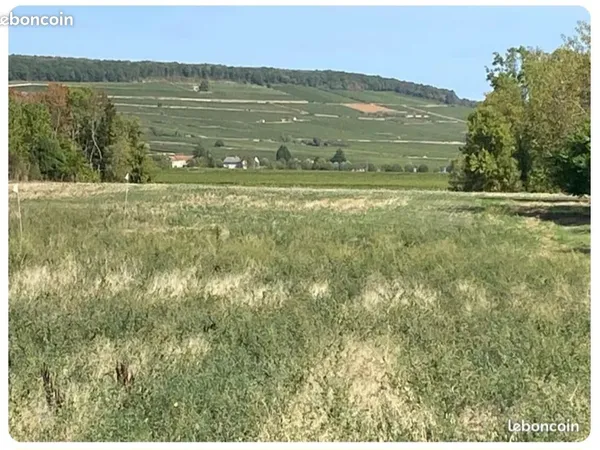 Terrain constructible Chorey-les-Beaune
