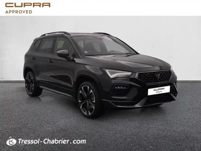Cupra Ateca 1.5 tsi 150ch dsg7 v — photo 29