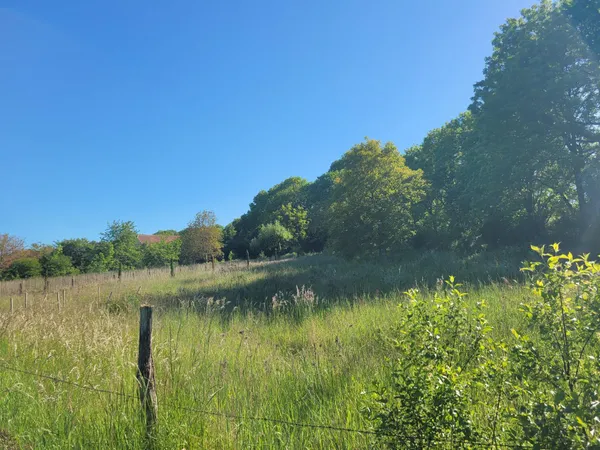 Terrain 2968m²