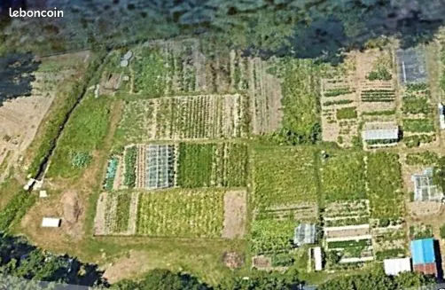 Jardin potager