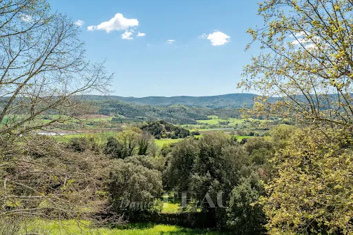 Propriété 12 pièces 350 m²