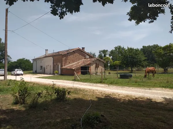 Belle colocation agréable ( grand jardin, ambiance équestre)