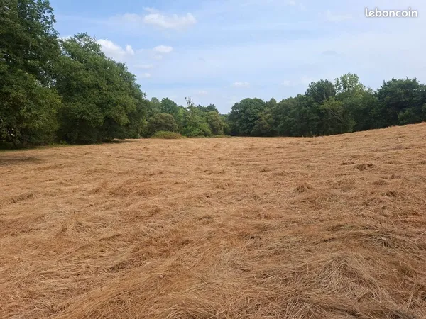 Prairie terrain agricole