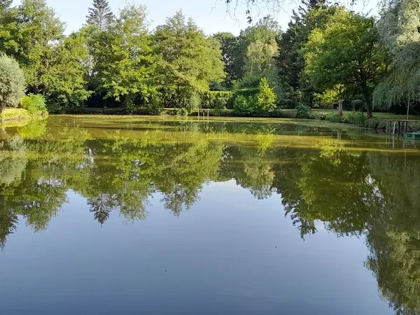 Terrain avec étang