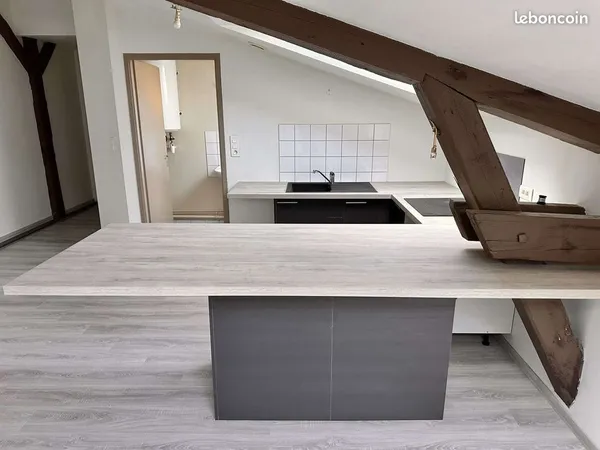 Location joli f2 60 m2 rue d'alsace