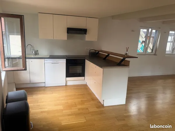 À louer - duplex atypique avec garage, parking et cave à Obernai centre