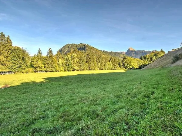 Terrain 1393 m²