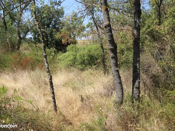 Terrain · 3722 m²