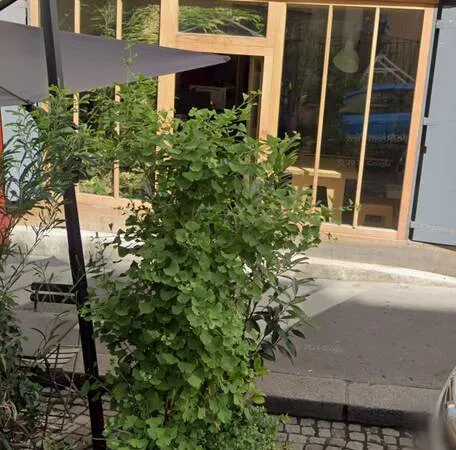Bureaux/Locaux professionnels 41 m²