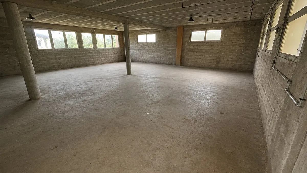 Photo 6
