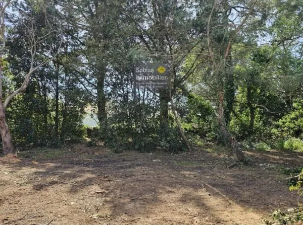 Vends terrain