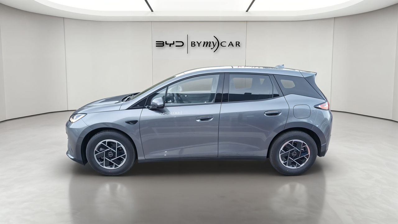 BYD Dolphin G 1.5 DM-i PHEV 212 ch — photo 2
