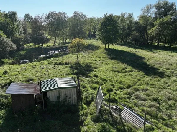 TERRAIN PLANTÉ DE NOYERS D'AMÉRIQUE ET MERISIERS