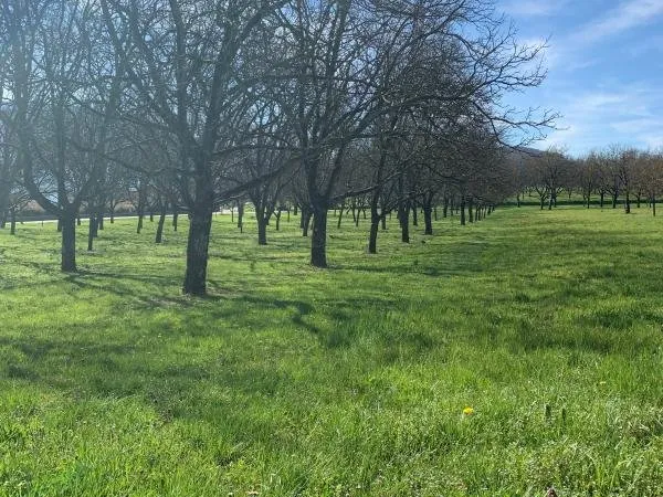Terrain 544 m²