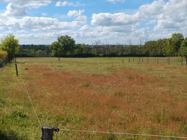 Terrain constructible + terrain agricole = 8 882 m²