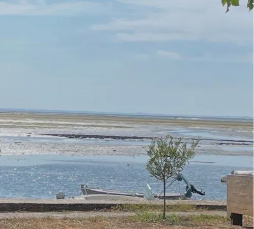 Location lège cap ferret claouey pieds dans l'eau
