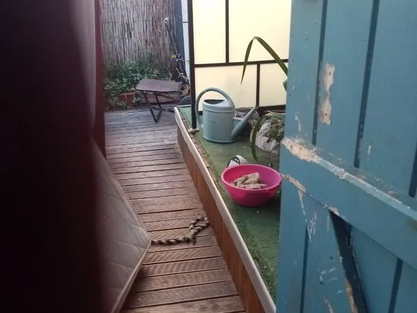 Appartement libre