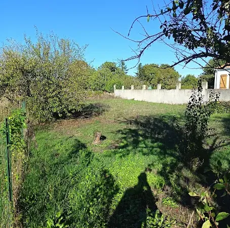Terrain 1291 m²