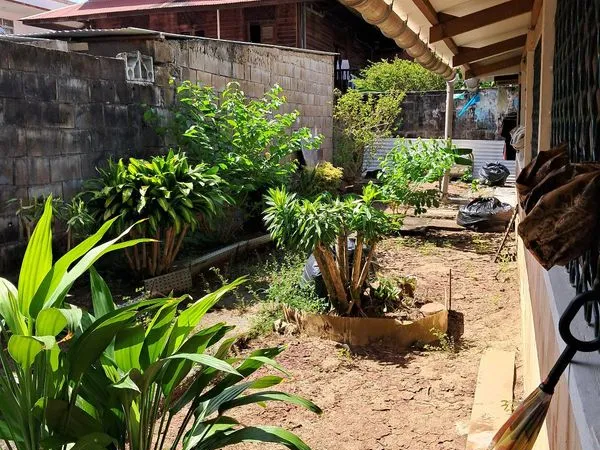 Maison de ville 150 m² Cayenne