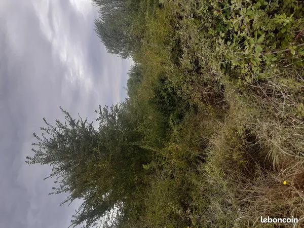 Terrain de loisir