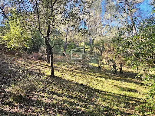 Terrain 2460 m²