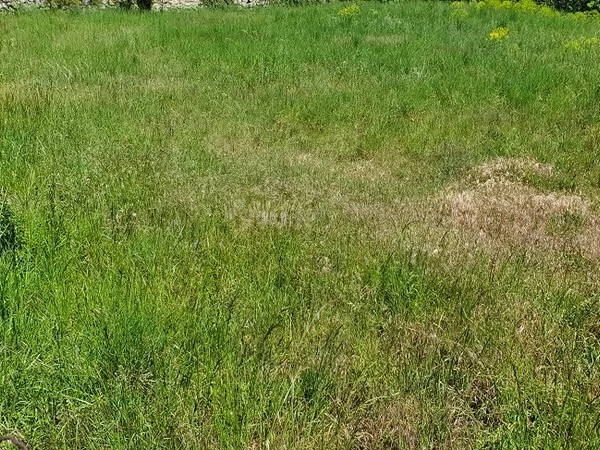 Terrain 200 m²