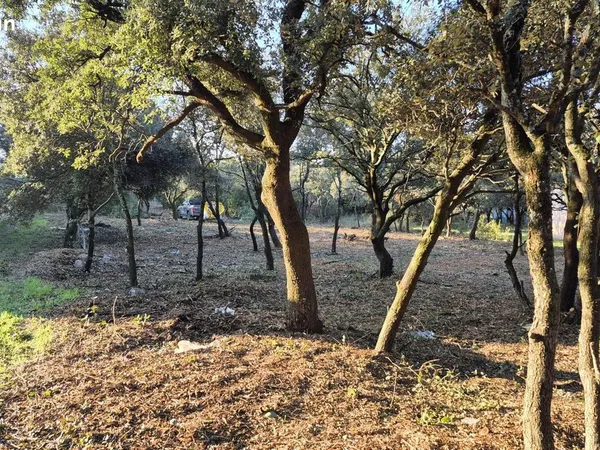 Terrain 801 m² Grillon